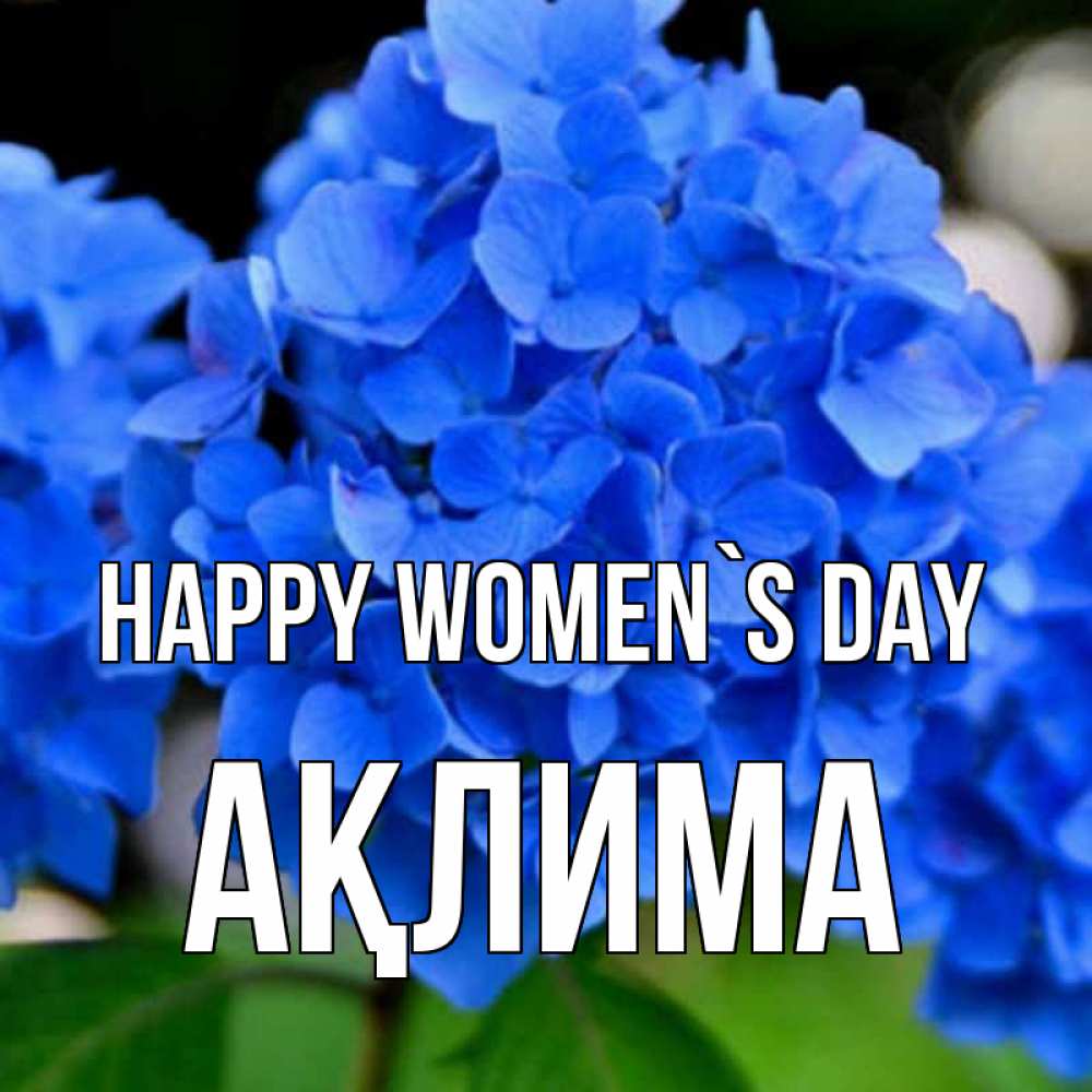 Greetings card с именем, АҚЛИМА happy women`s day синие цветы Greetings with text for free download 
